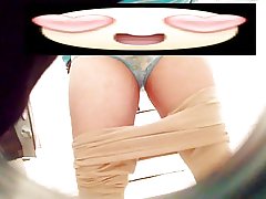 Друг мій старий pucha